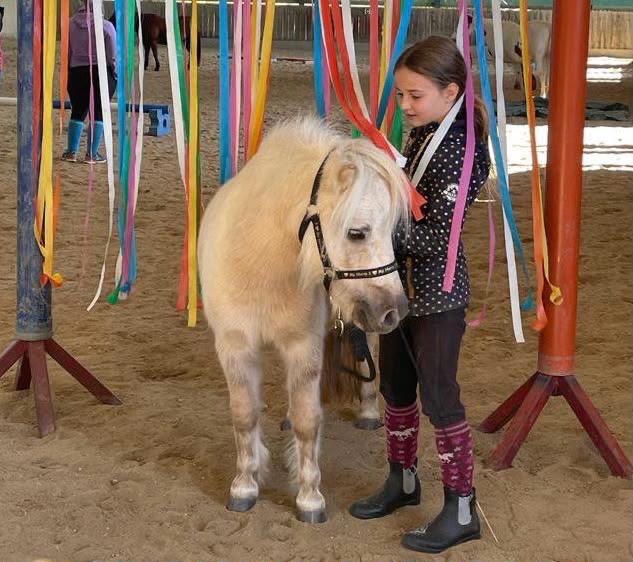 Kinder üben Zirkustricks und Bodenarbeit mit Ponys beim Zirkus-Workshop