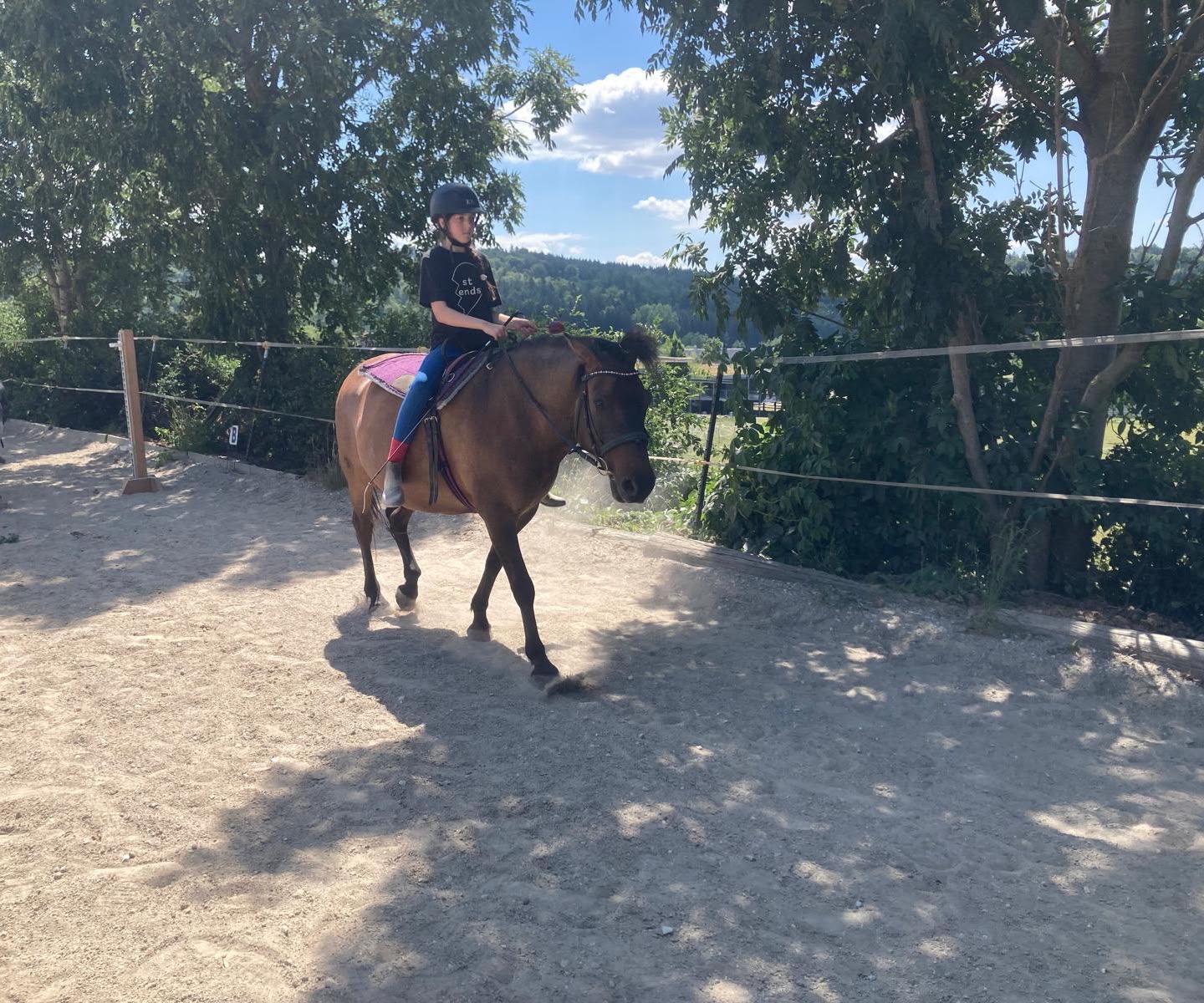 Pony im Herbst auf der Koppel, Ankündigung Ponyherbstcamp in Graz Mariatrost