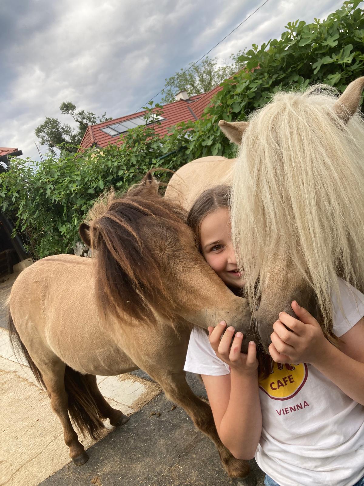 Kinder feiern Geburtstag mit Ponys beim Ponygeburtstagspicknick in Graz