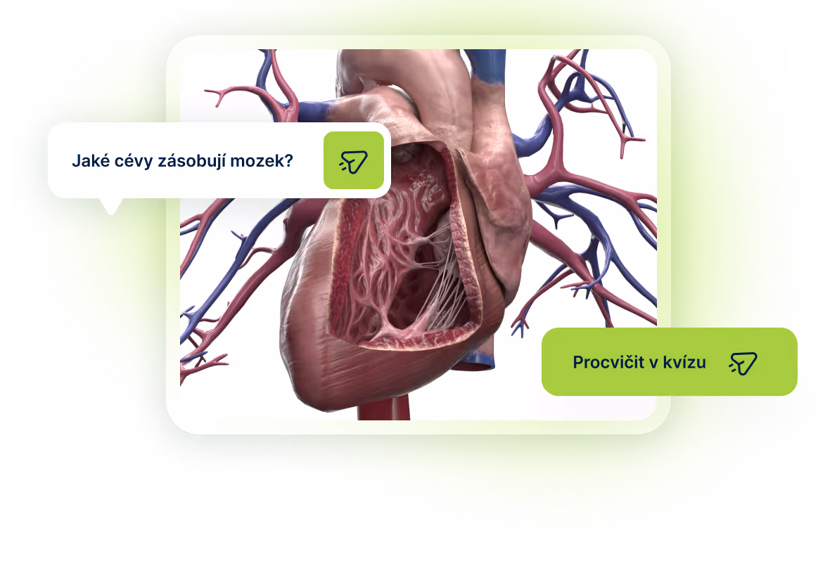 image of science experiment (for a schools (k12))