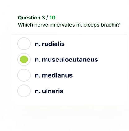 image of science experiment (for a schools (k12))