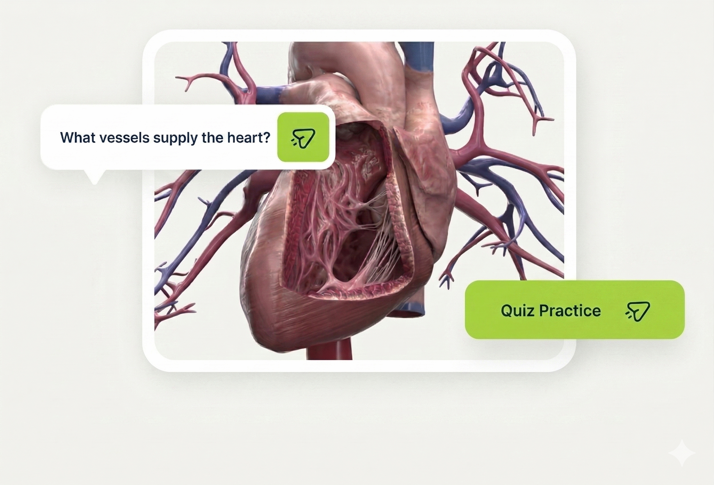 image of science experiment (for a schools (k12))