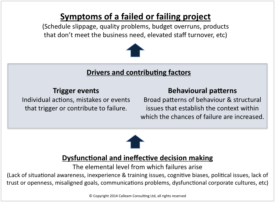 Figure 1 - Elements in project failure (click to enlarge)