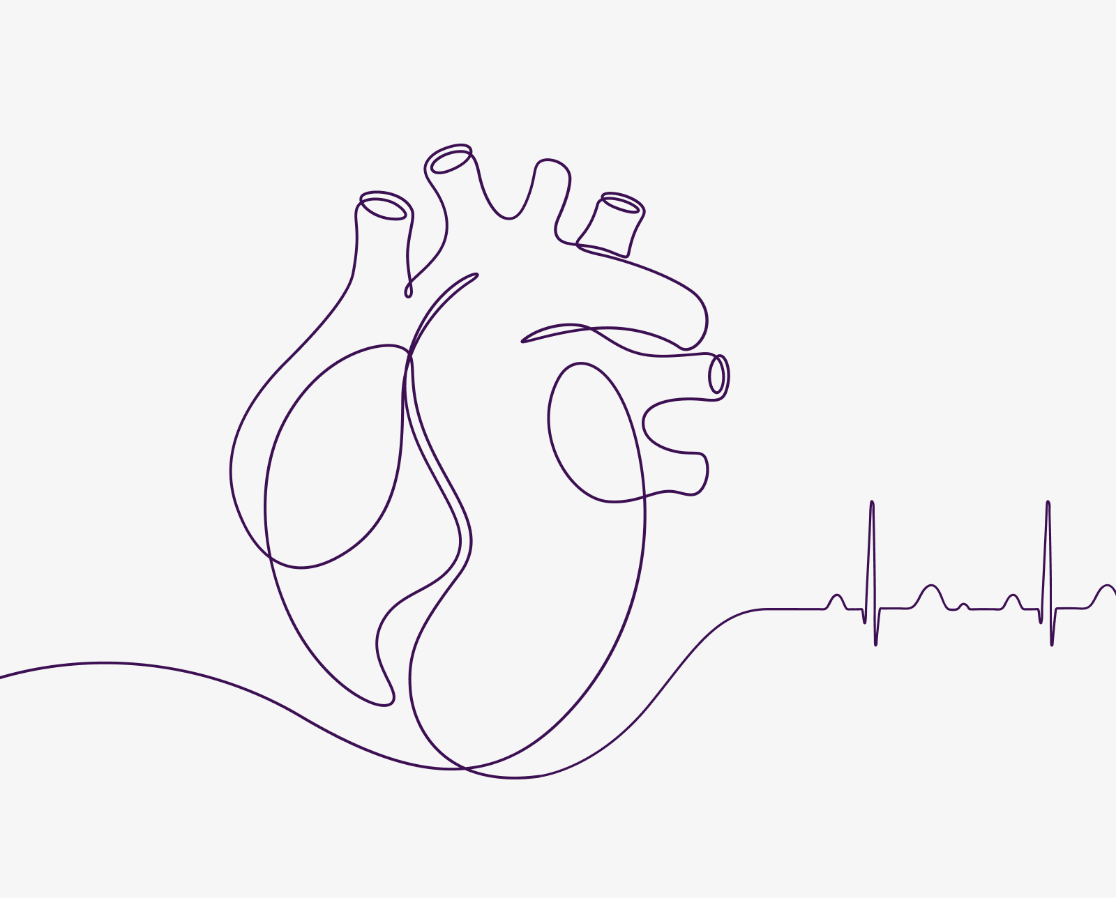Line drawing of a human heart with an ECG line, representing comprehensive NCH heart care.