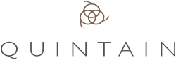 Quintain company logo with stylized emblem above the name.