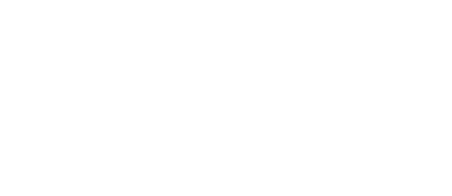 U.S. Navy logo, light version