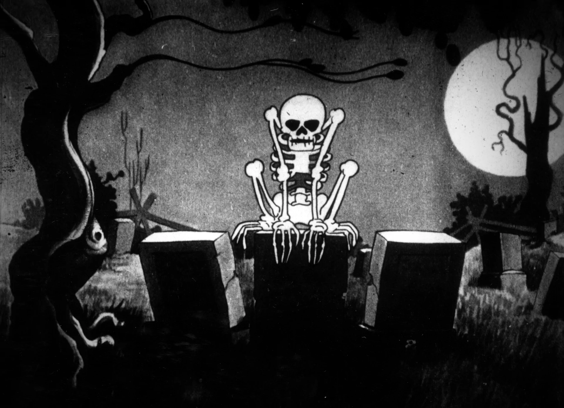 CINEMA ANIMATION