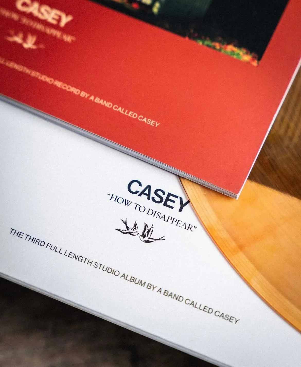 Close-up of two album covers by the band Casey, one titled 'How to Disappear' featuring two flying birds illustration.