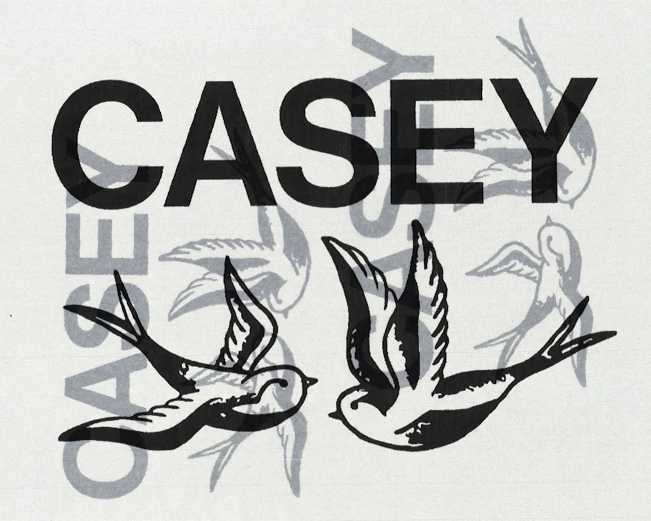 Graphic design featuring the word CASEY in large bold letters with two black and white stylized birds flying, and the word OASIS partially obscured in the background.