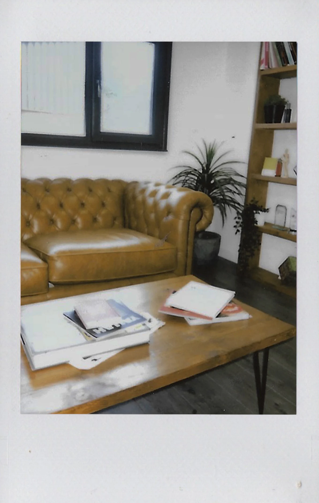 Cozy living room with a tan tufted leather couch, wooden coffee table holding magazines, a potted plant, and a bookshelf.