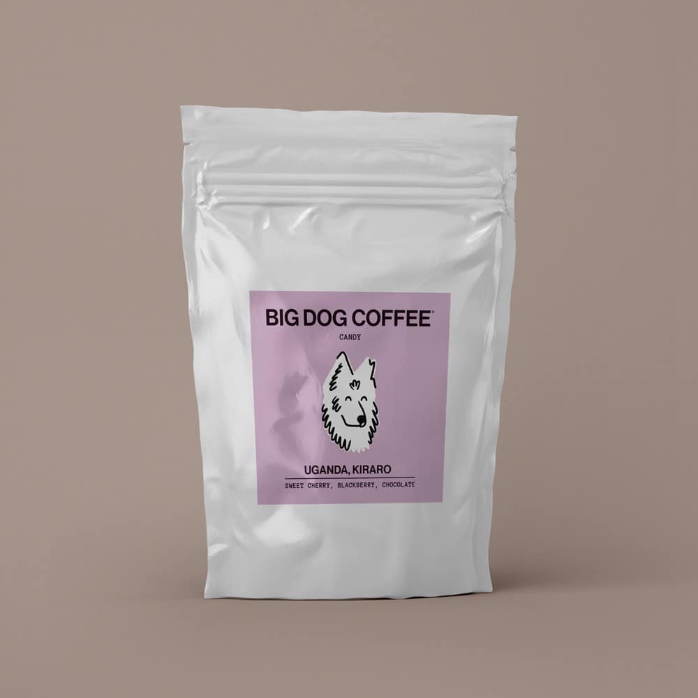 White resealable coffee bag labeled Big Dog Coffee Candy Uganda, Kiraro with sweet cherry, blackberry, and chocolate flavor notes.