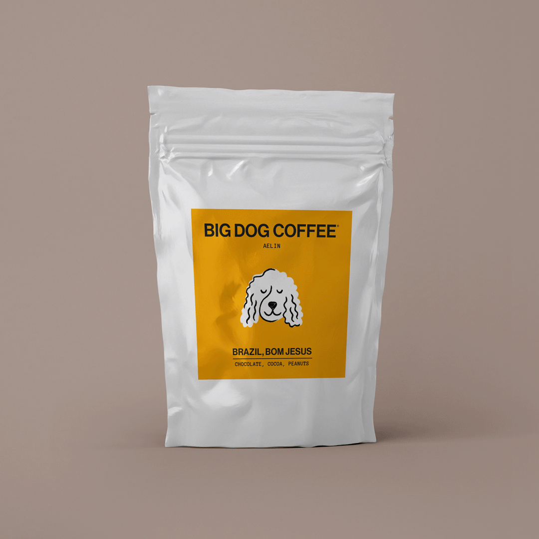 White coffee bag with orange label featuring a dog illustration and text Big Dog Coffee Brazil Bom Jesus with notes of chocolate, cocoa, and peanuts.