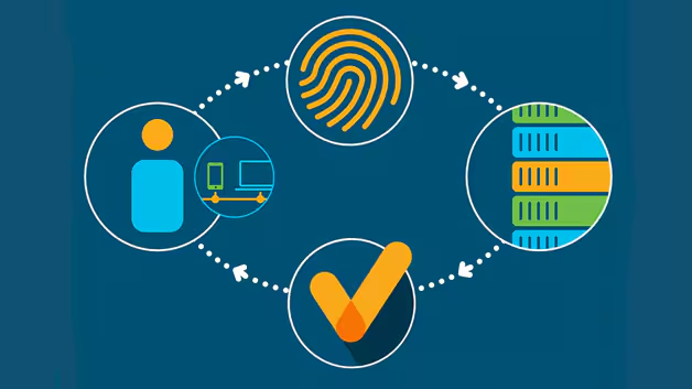 principle of data architecture