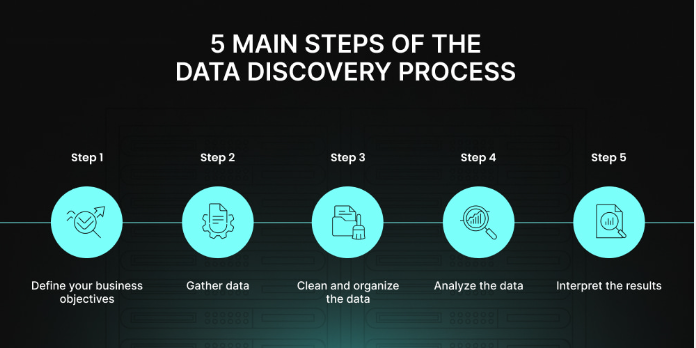 Data Discovery Steps