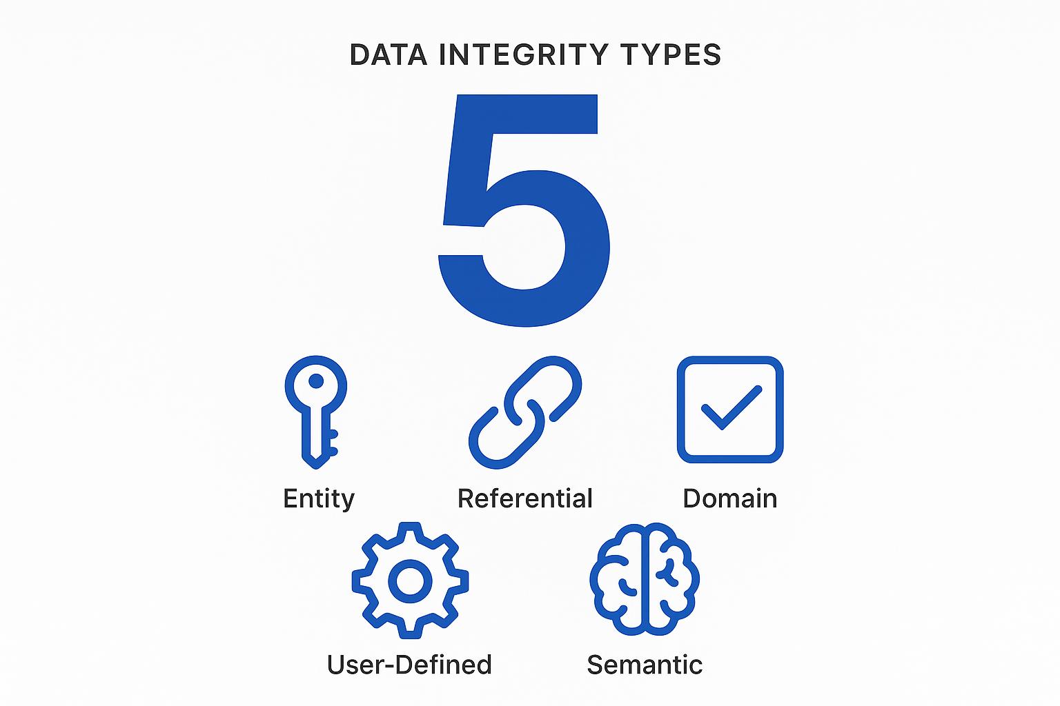 Image 3: Diagram illustrating the five types of data integrity: entity, referential, domain, user-defined, and semantic integrity