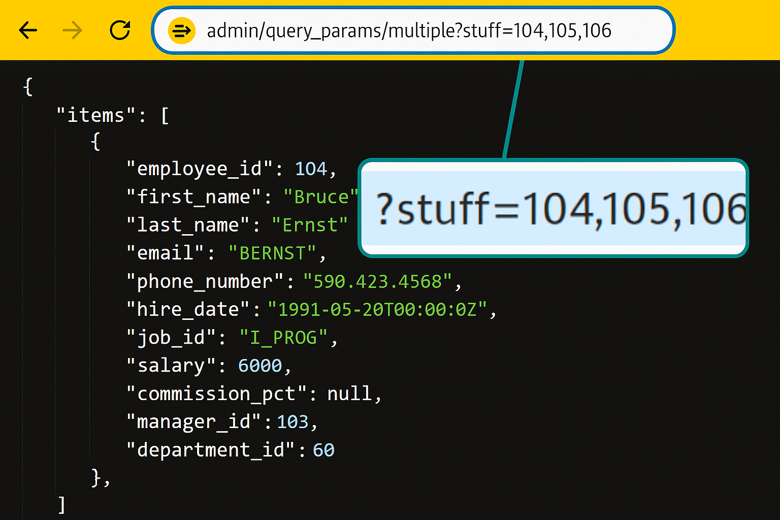 Image 6: Query Parameters