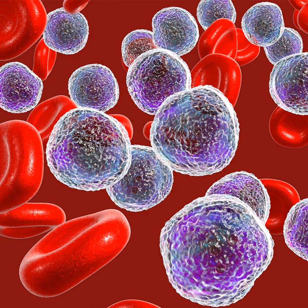 Illustration of red and white blood cells in the bloodstream, representing anaemia and changes in blood cell composition.