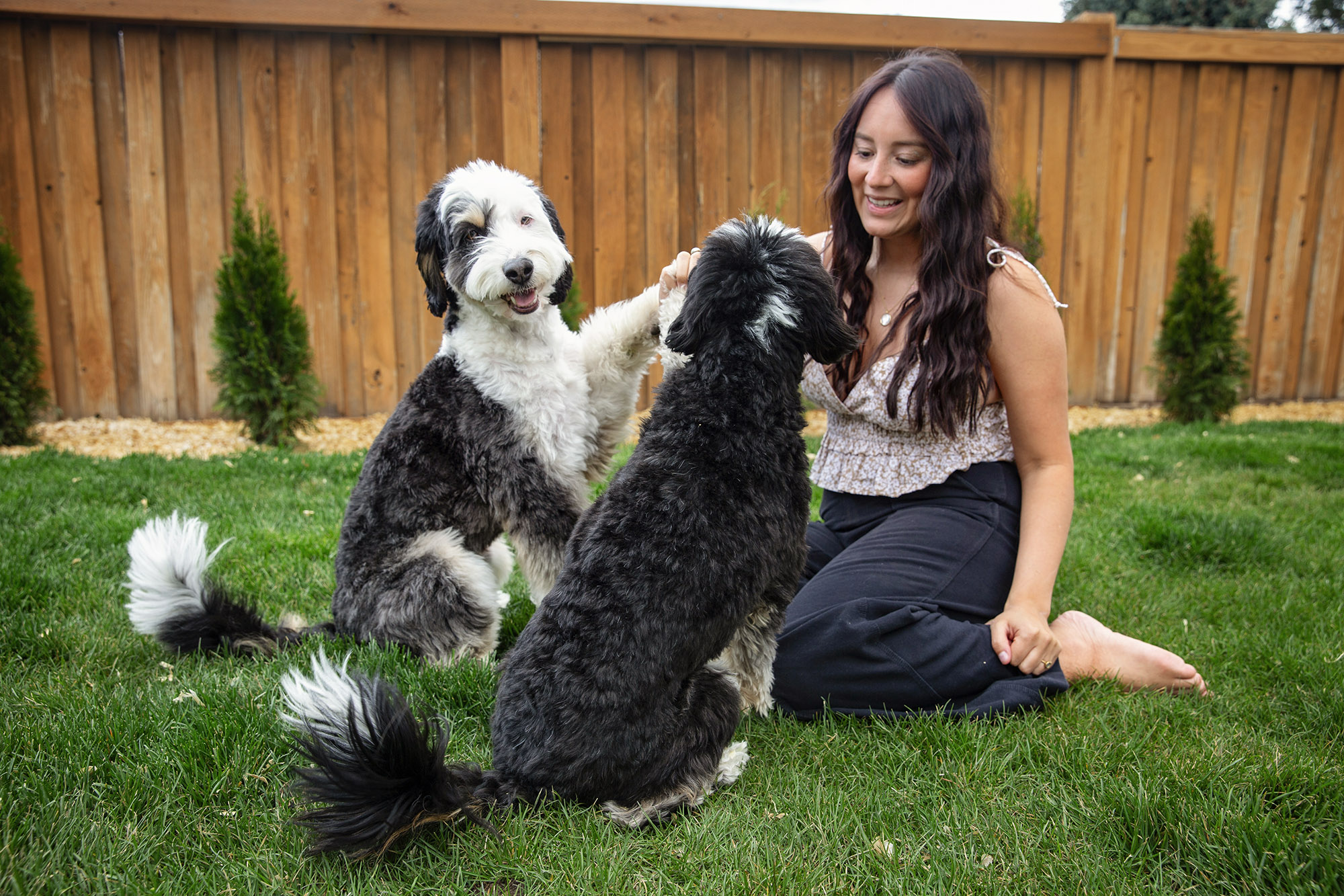 Elaine sitting in the grass with her two dogs playing with brown wooden fence behind them