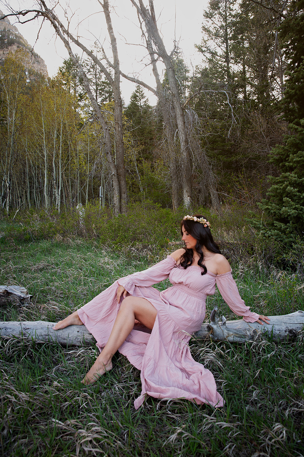 Elaine sitting in meadow on log in pink dress with forest behind her