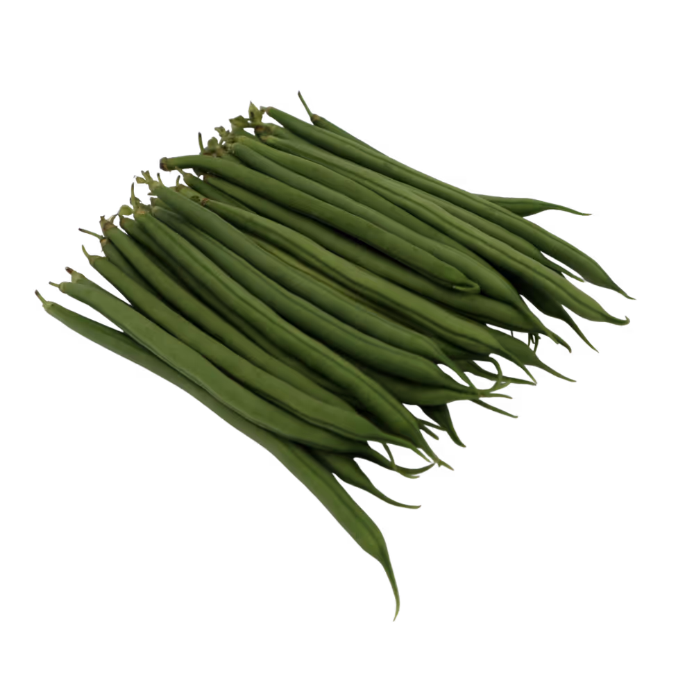 Extra Fine Beans