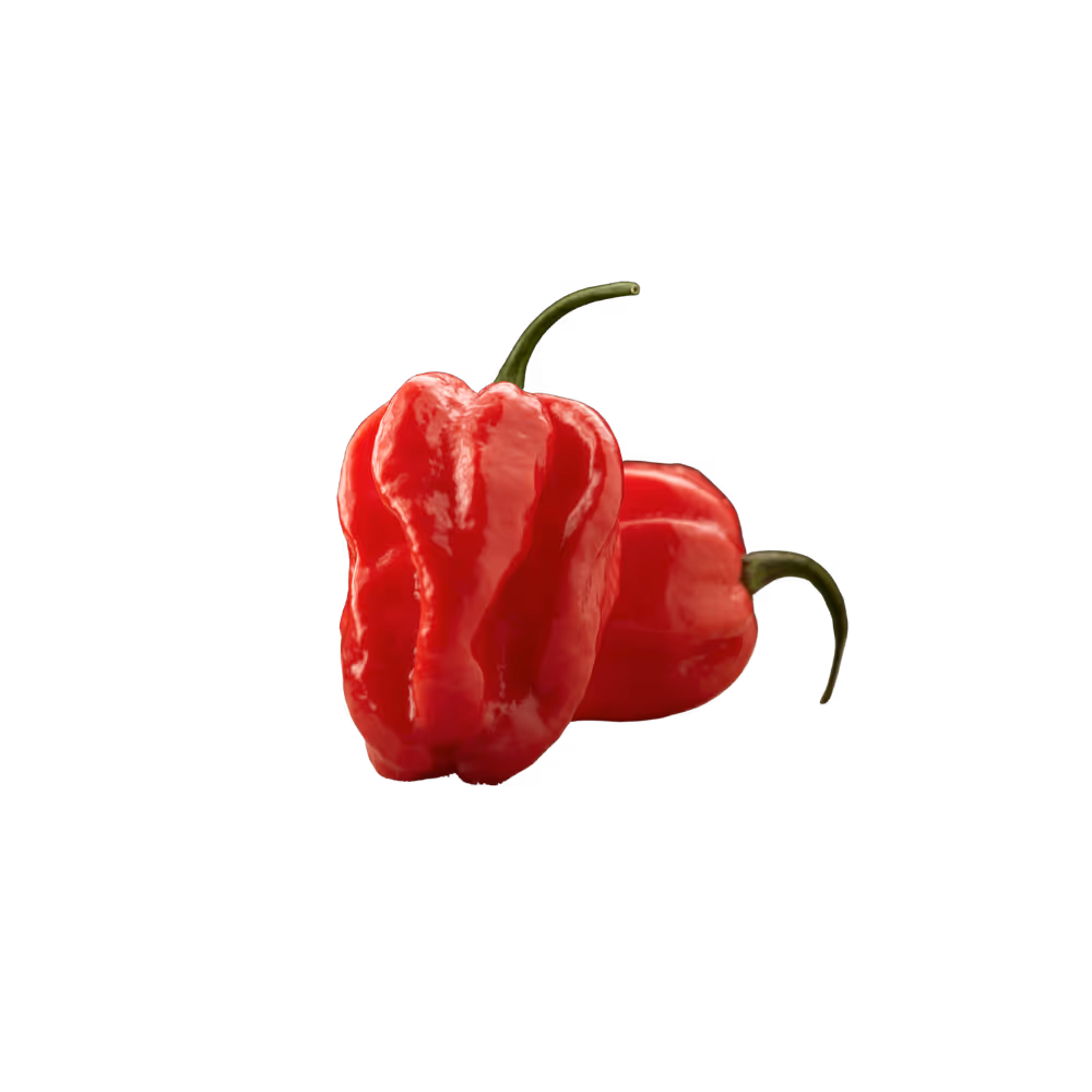Red Habanero Pepper