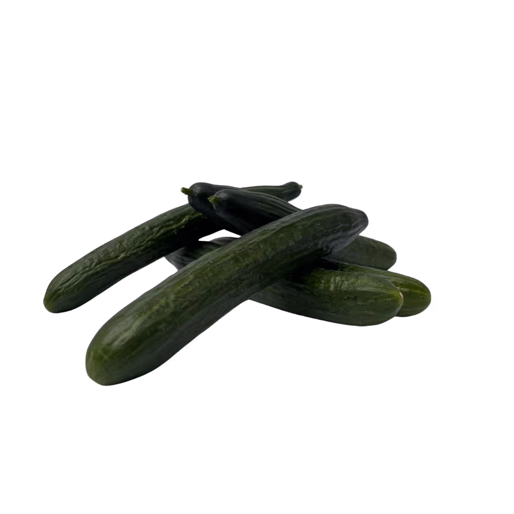 Dutch Cucumber