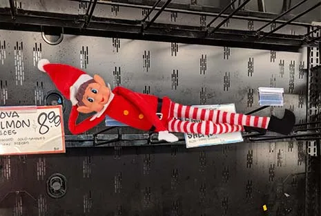 Elf on the Shelf doll wearing a red hat, red jacket, and red-and-white striped pants, lying on its side on a black shelf next to a price sign of $8.99 for Nova salmon pieces.