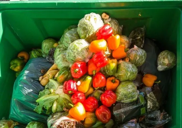 Green bin filled with discarded vegetables including red, yellow, and orange bell peppers, cabbages, and some leafy greens, suggesting food waste.
