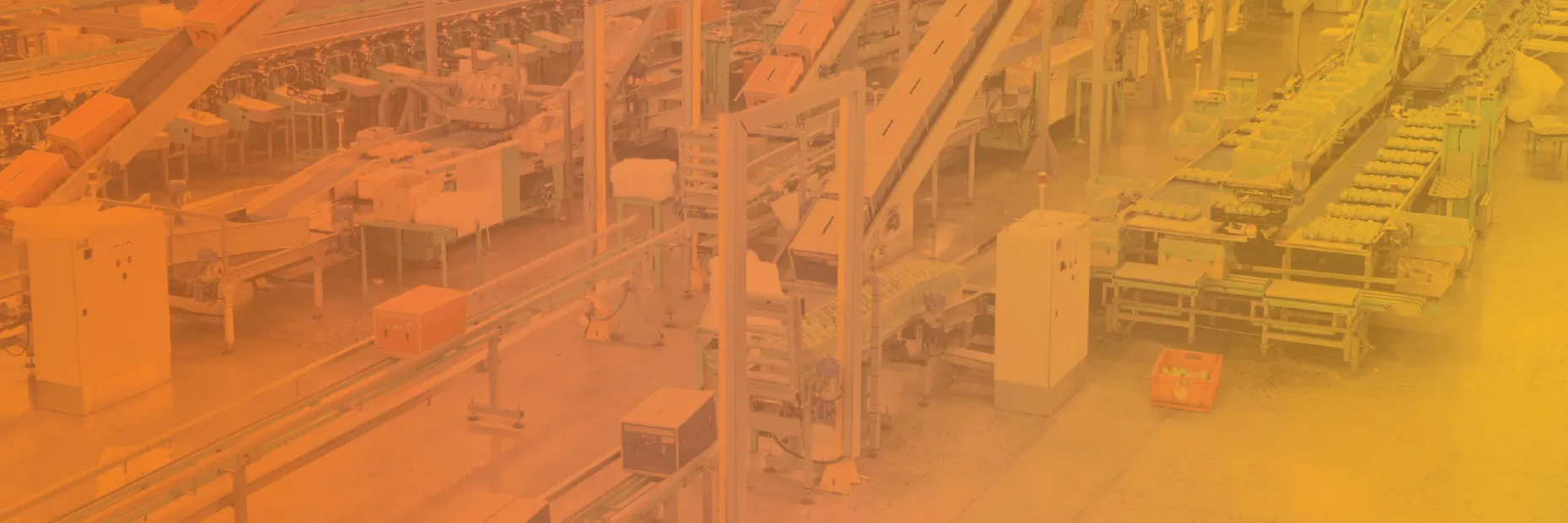 Industrial food processing factory interior with conveyor belts transporting rows of round food items, packaging machinery, and equipment on a clean factory floor.