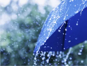Close-up of a blue umbrella with raindrops falling and water dripping off the edges against a blurred outdoor background.