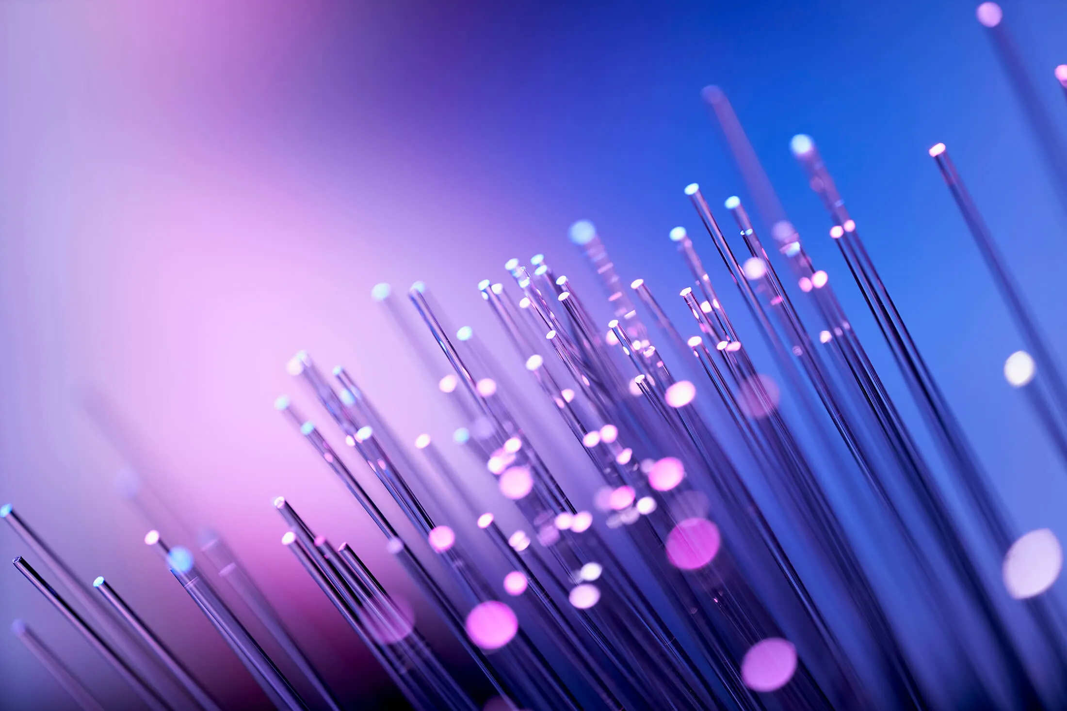 Close-up of illuminated fiber optic strands glowing with blue and purple lights against a gradient blue and pink background.