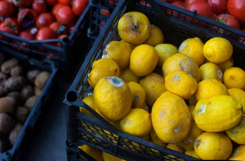 Black crate filled with yellow lemons showing signs of mold and spoilage, with crates of tomatoes and potatoes in the background.