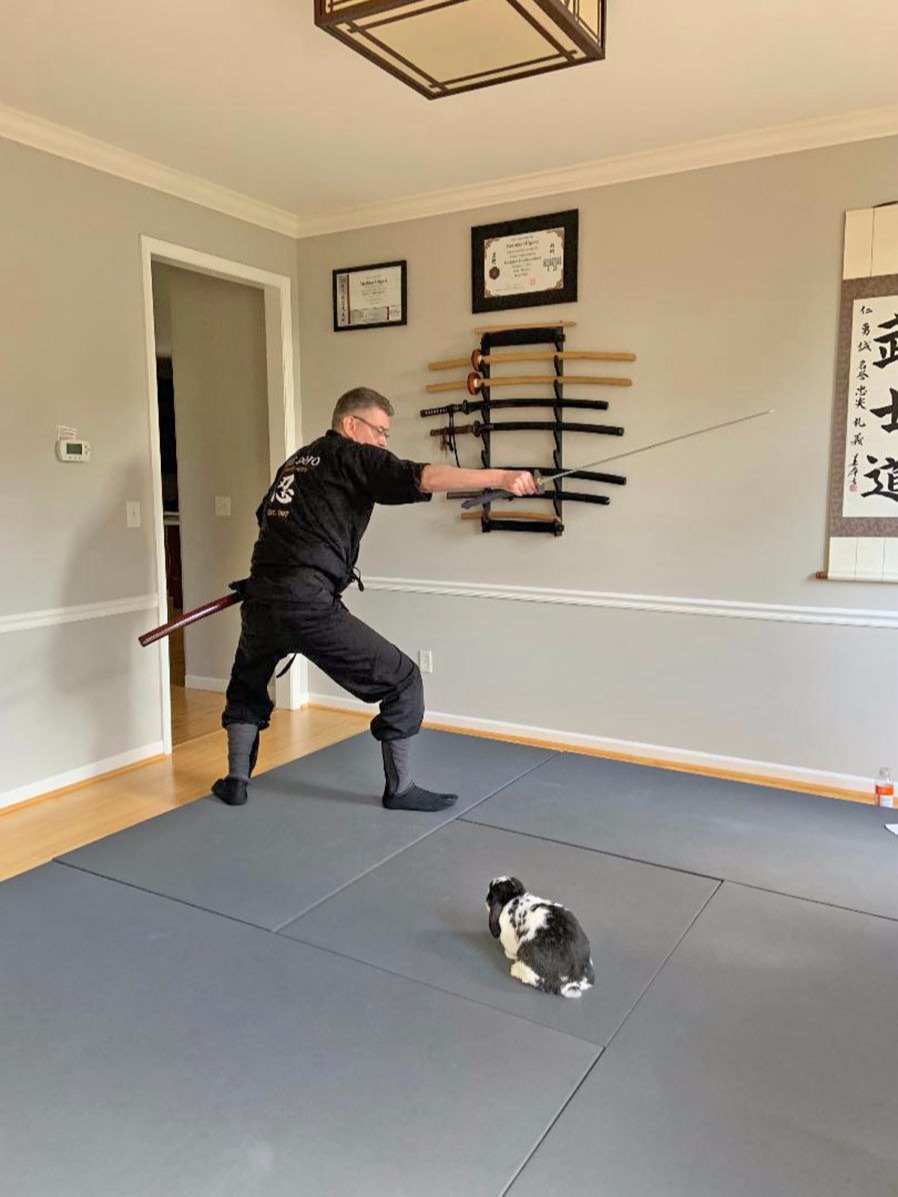 Mathias and rabbit at The Dojo Martial Arts, July 2020