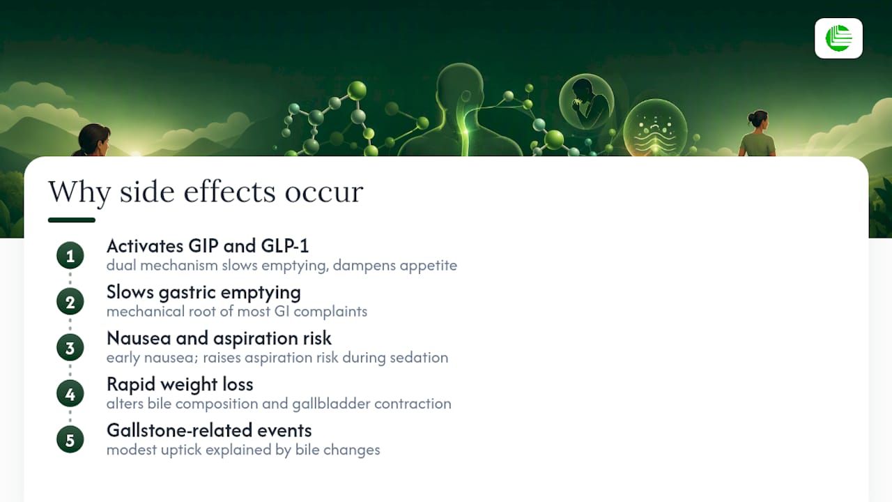 Why Does Tirzepatide Cause These Side Effects? — overview diagram