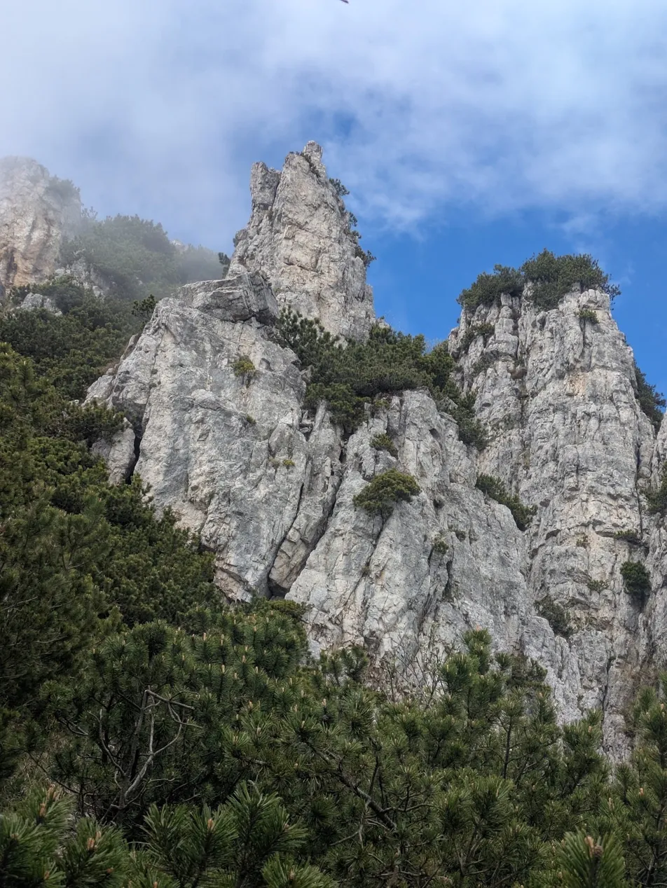 Jagged limestone spires rising through cloud and pine forest — the terrain Geeks Go Peaks guides navigate