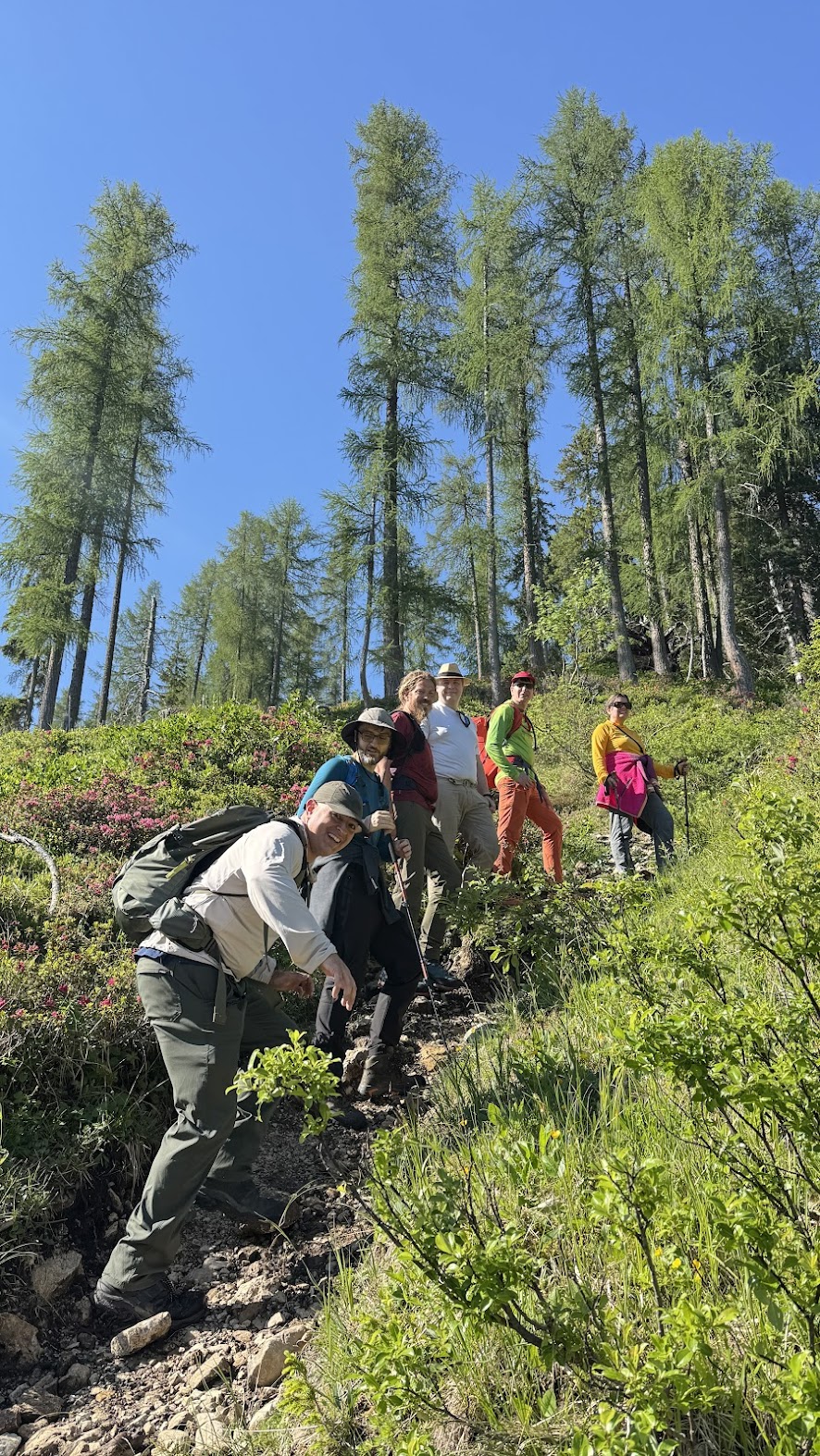 The group hiking up the green slopes of Crëp de Sela above Colfosco