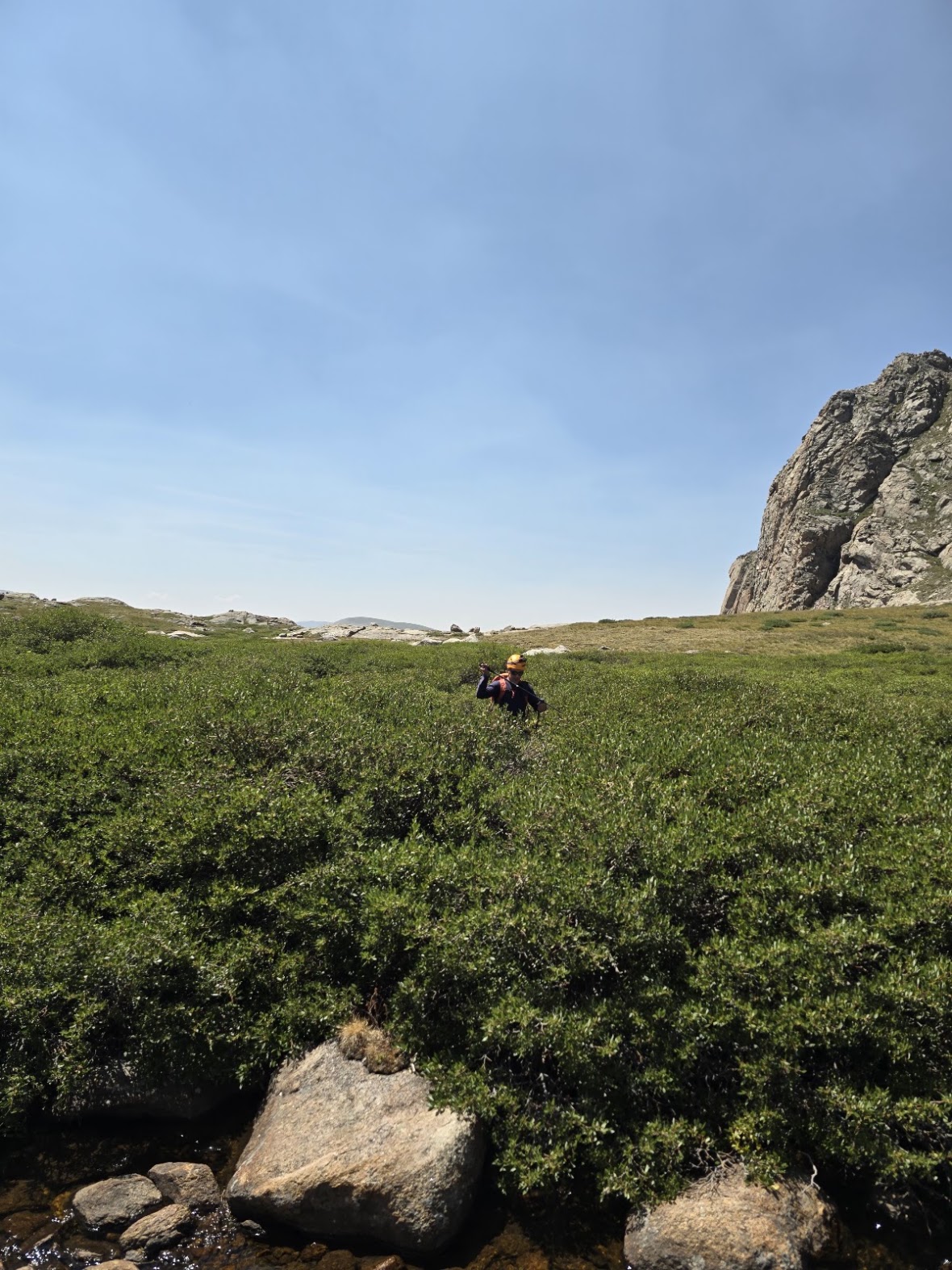 Patrick Galbraith crossing tundra brush and the outflow creek, Abyss Basin, Colorado