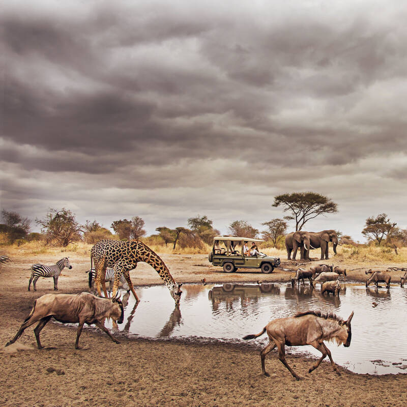 Giraffe drinking at a waterhole with elephants, wildebeest and a safari vehicle