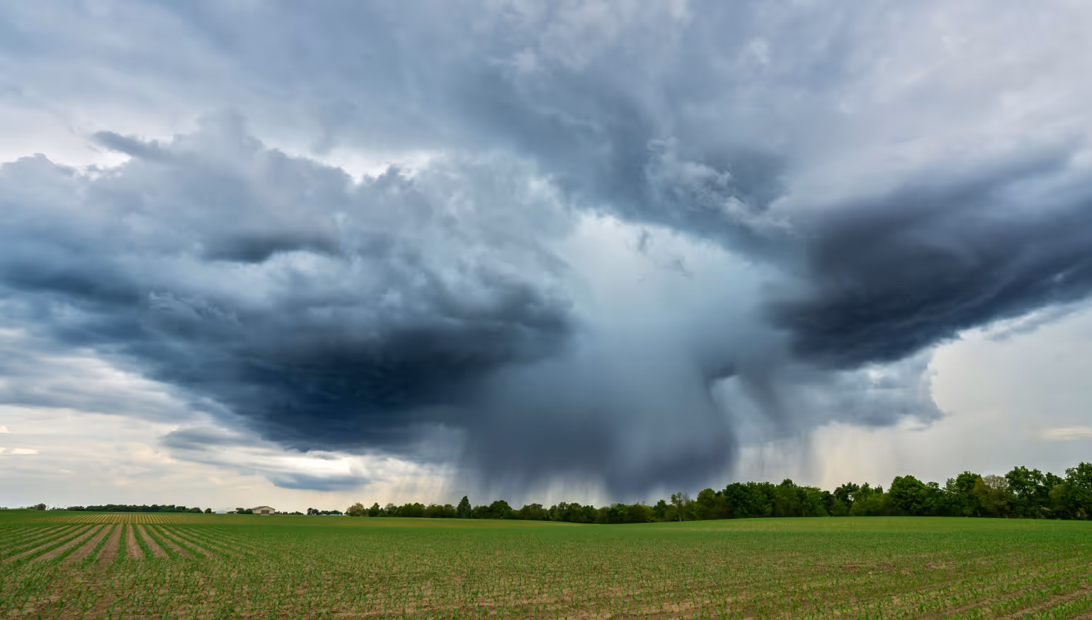 Dark rain clouds over a green agricultural field with trees on the horizon.