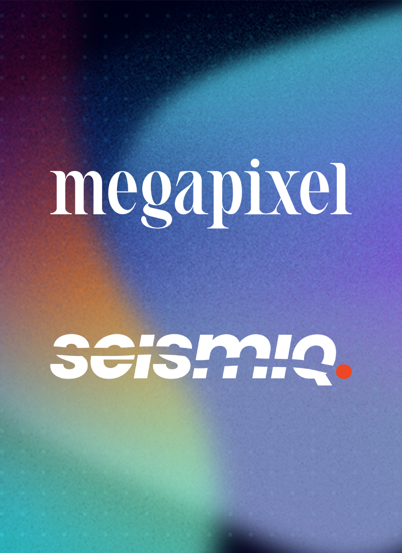Megapixel x Seismiq