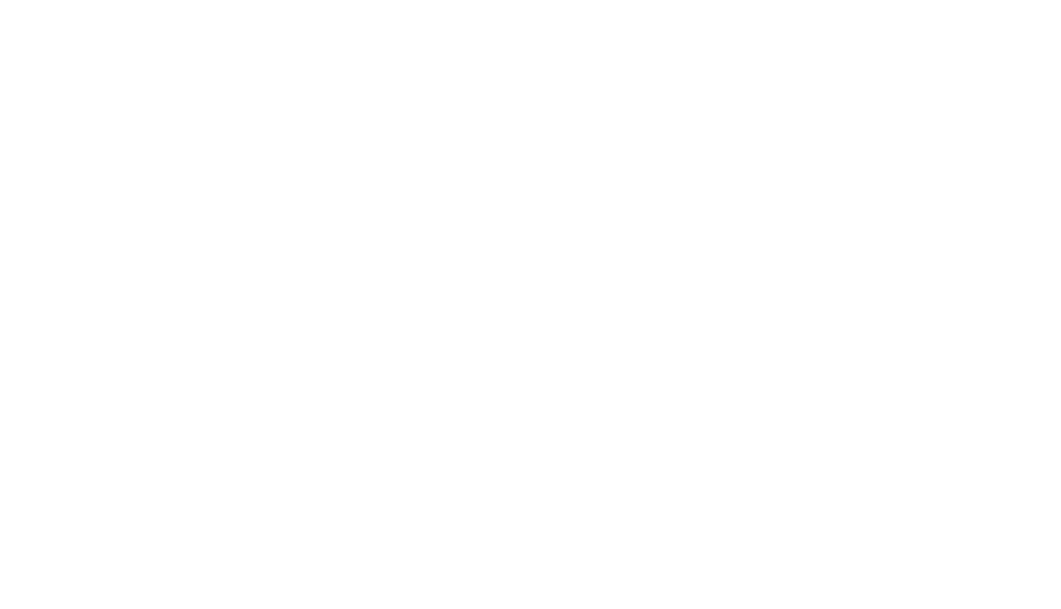 Chef Joey