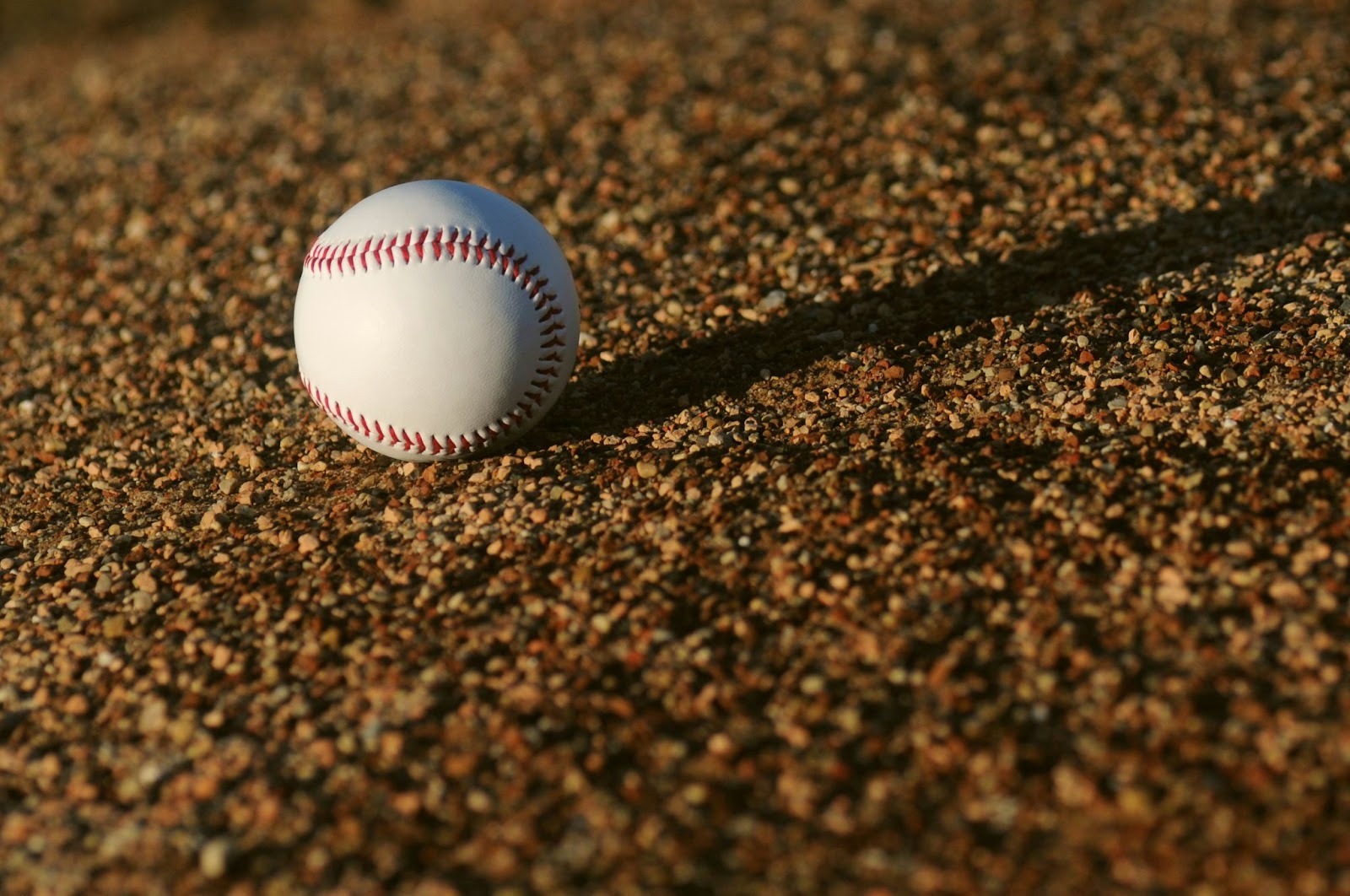 Youth softball team building