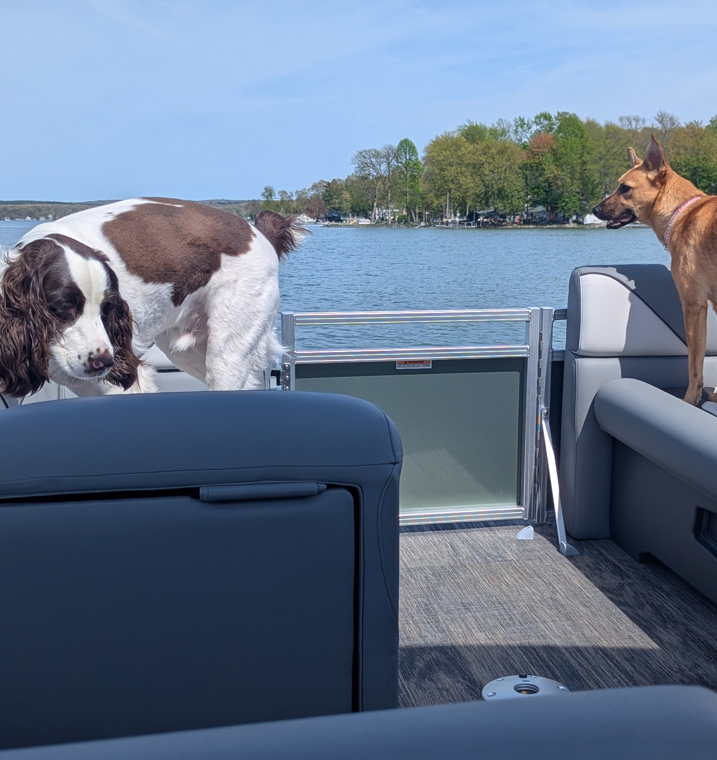 Aengus and Maeve enjoying their day out on the look on a tritoon.