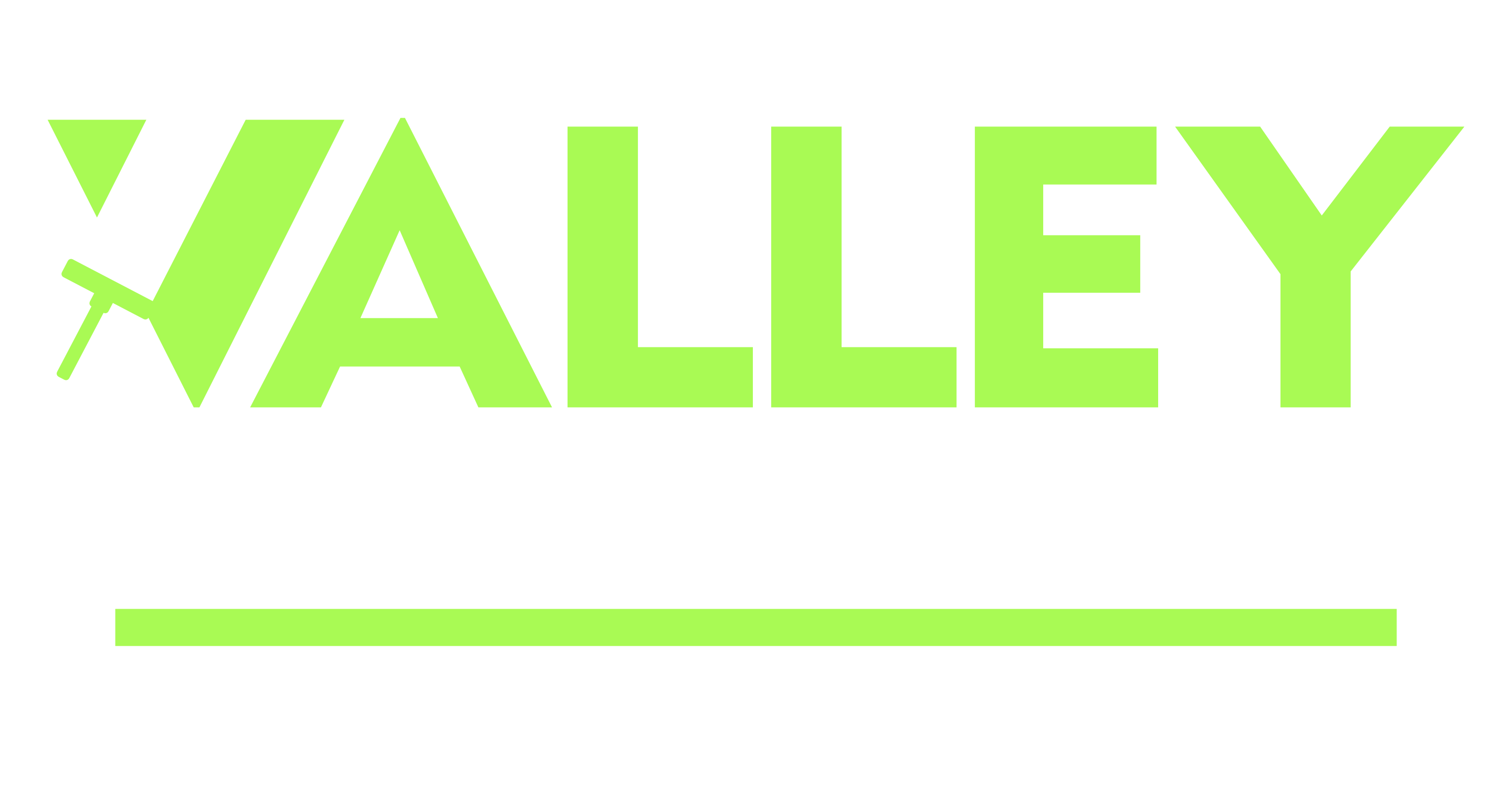 Valley Professional Carpet & Upholstery Cleaning Homepage