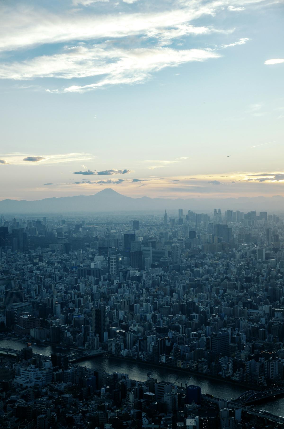 Aerial view of Tokyo with Mount Fuji