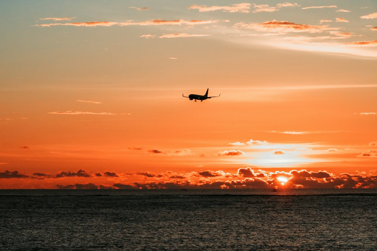 Should You Wait for a Flight Sale? What 220,000 Tracked Fares Show
