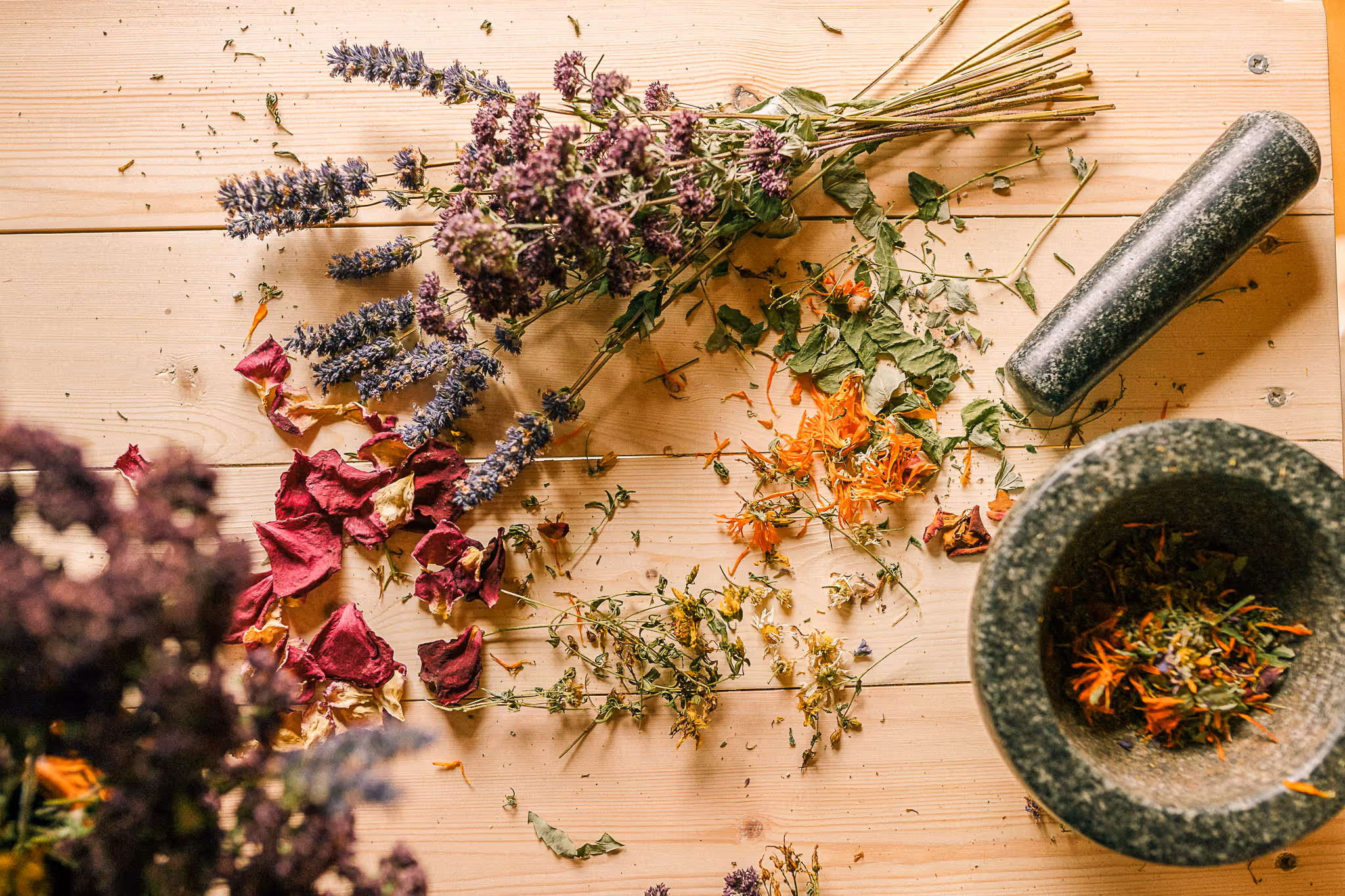 Flat lay of dried herbs, botanicals, and a mortar and pestle for herbal medicine preparation