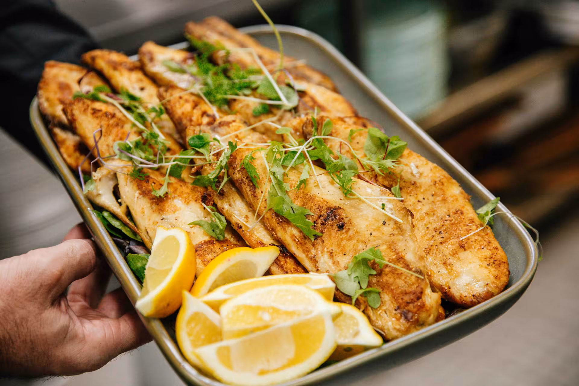 Battered market fish with house salad and chips at Ovello Bar & Kitchen, South Bank Brisbane