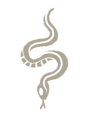 Simple beige line drawing of a snake with a forked tongue on a transparent background.