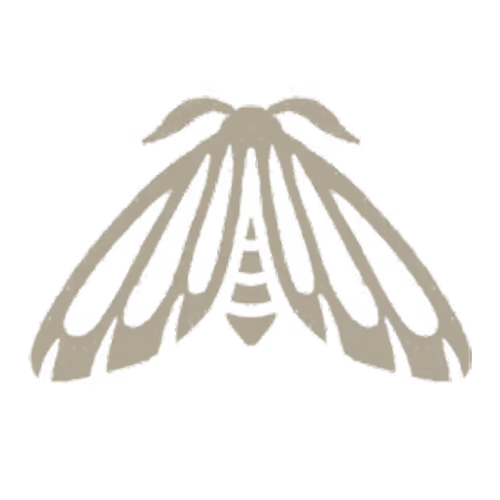 Stylized beige moth icon with symmetrical open wings and visible antennae on a transparent background.